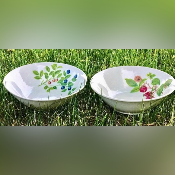 Set of 2 SELTMANN WEIDEN BAVARIA West Germany Qualitats Porzellan Soup Bowls - Picture 1 of 10